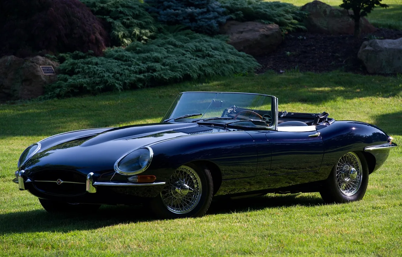 Photo wallpaper lawn, Jaguar, Jaguar, E-Type, classic, the bushes, the front, beautiful car