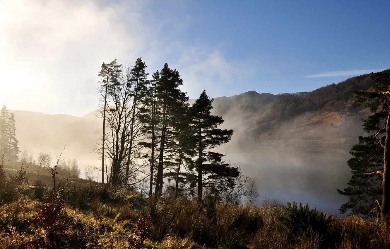 Photo wallpaper landscape, lake, morning