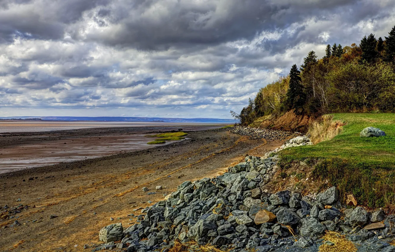 Photo wallpaper clouds, trees, nature, stones, shore, tide