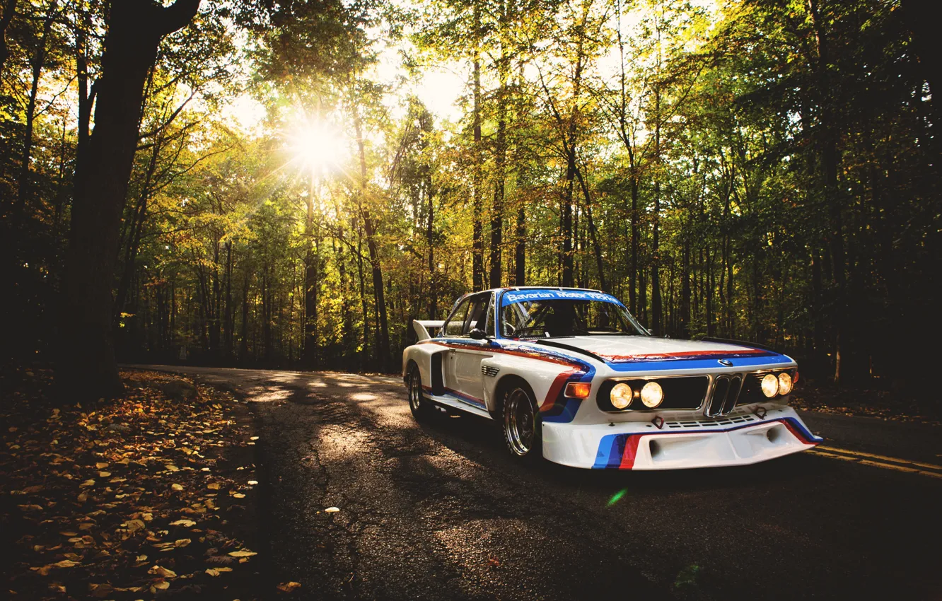 Photo wallpaper road, auto, forest, BMW, BMW, white, racing
