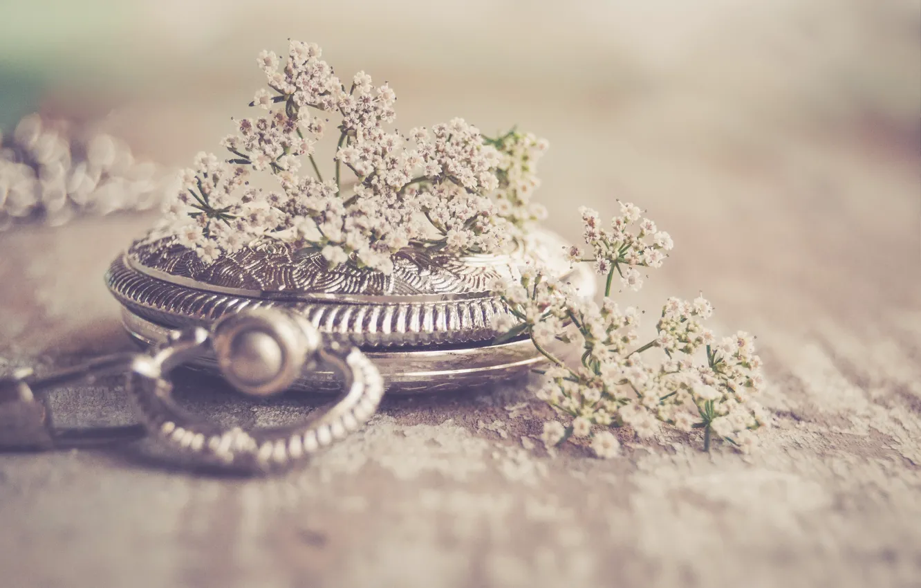 Photo wallpaper background, watch, wildflowers