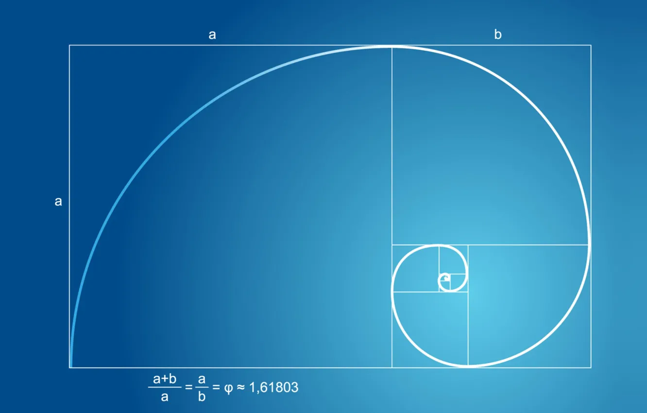 Photo wallpaper geometry, maths, golden ratio, blue paper