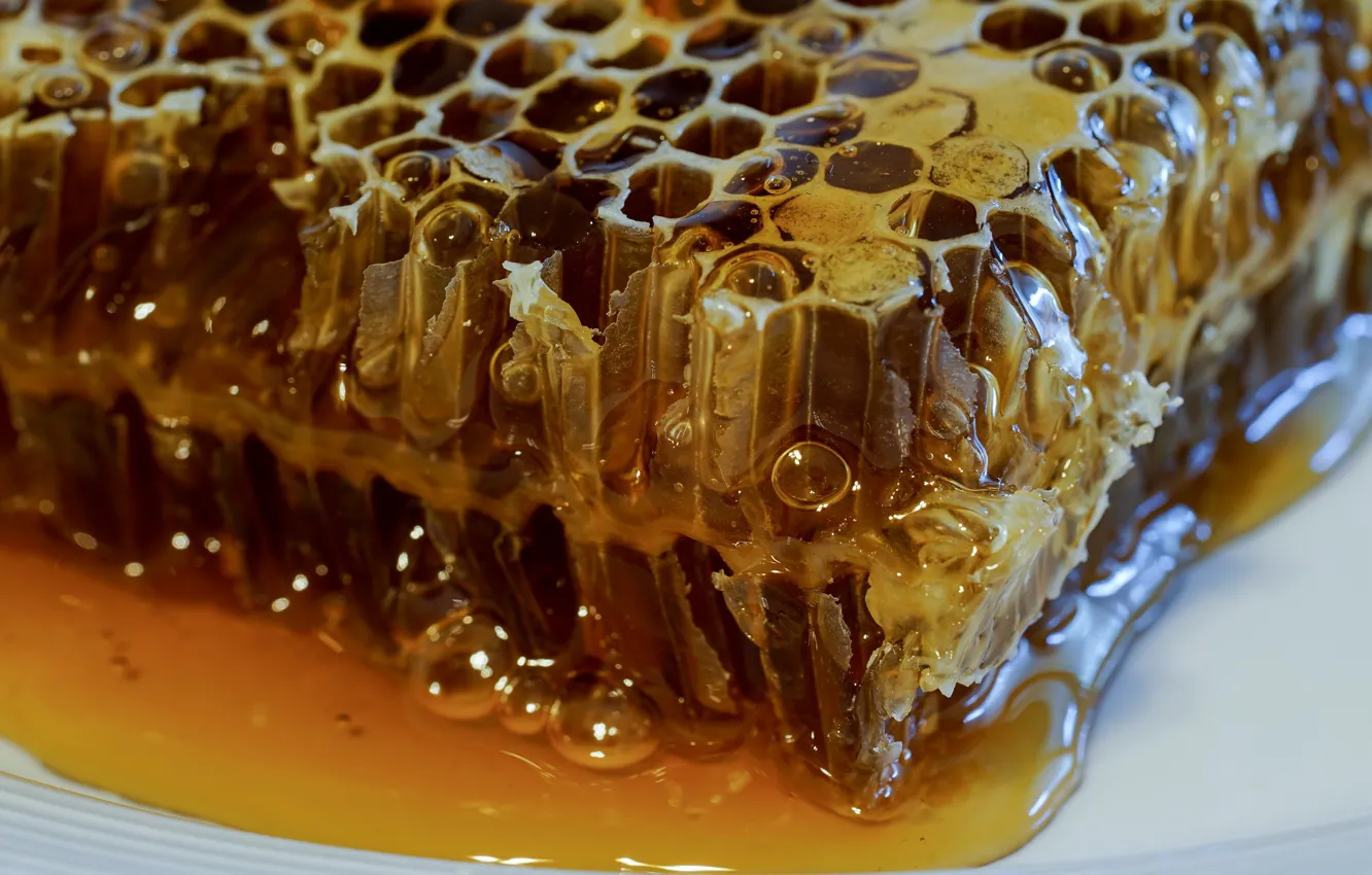 Photo wallpaper macro, background, honey
