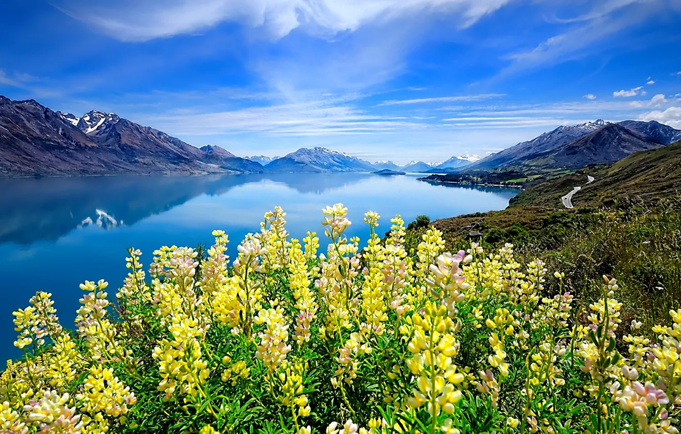 Photo wallpaper the sky, clouds, flowers, mountains, lake