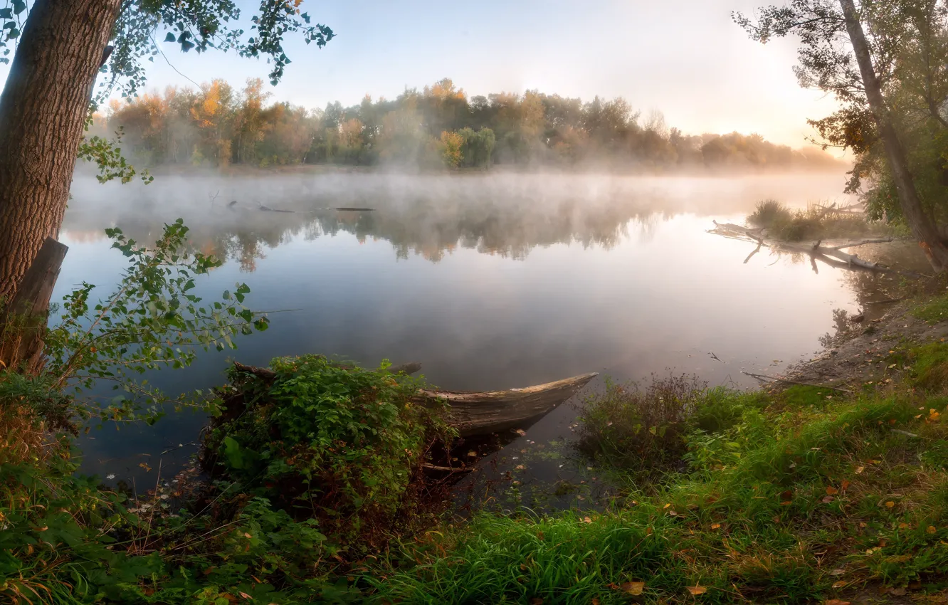 Photo wallpaper trees, bridge, fog, lake, path