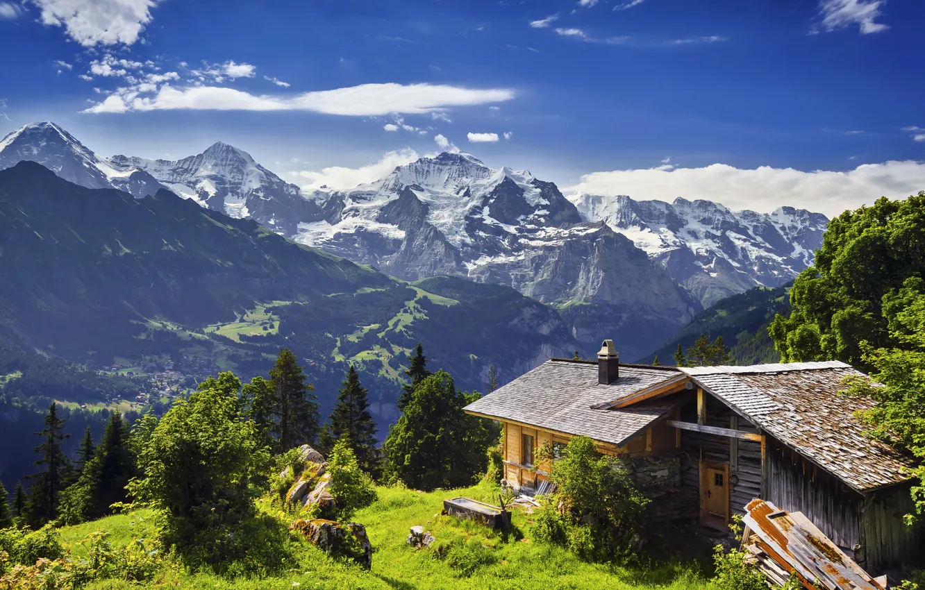 Photo wallpaper grass, trees, mountains, stones, rocks, Switzerland, glacier, panorama