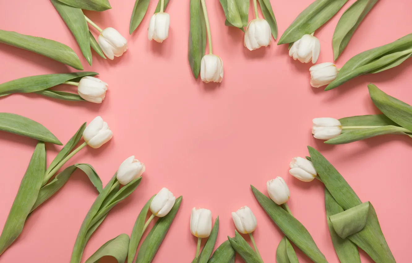 Photo wallpaper heart, spring, tulips, white buds
