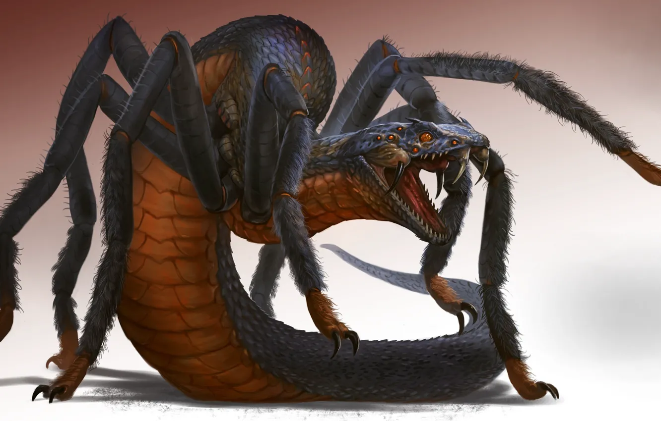 Photo wallpaper snake, spider, being