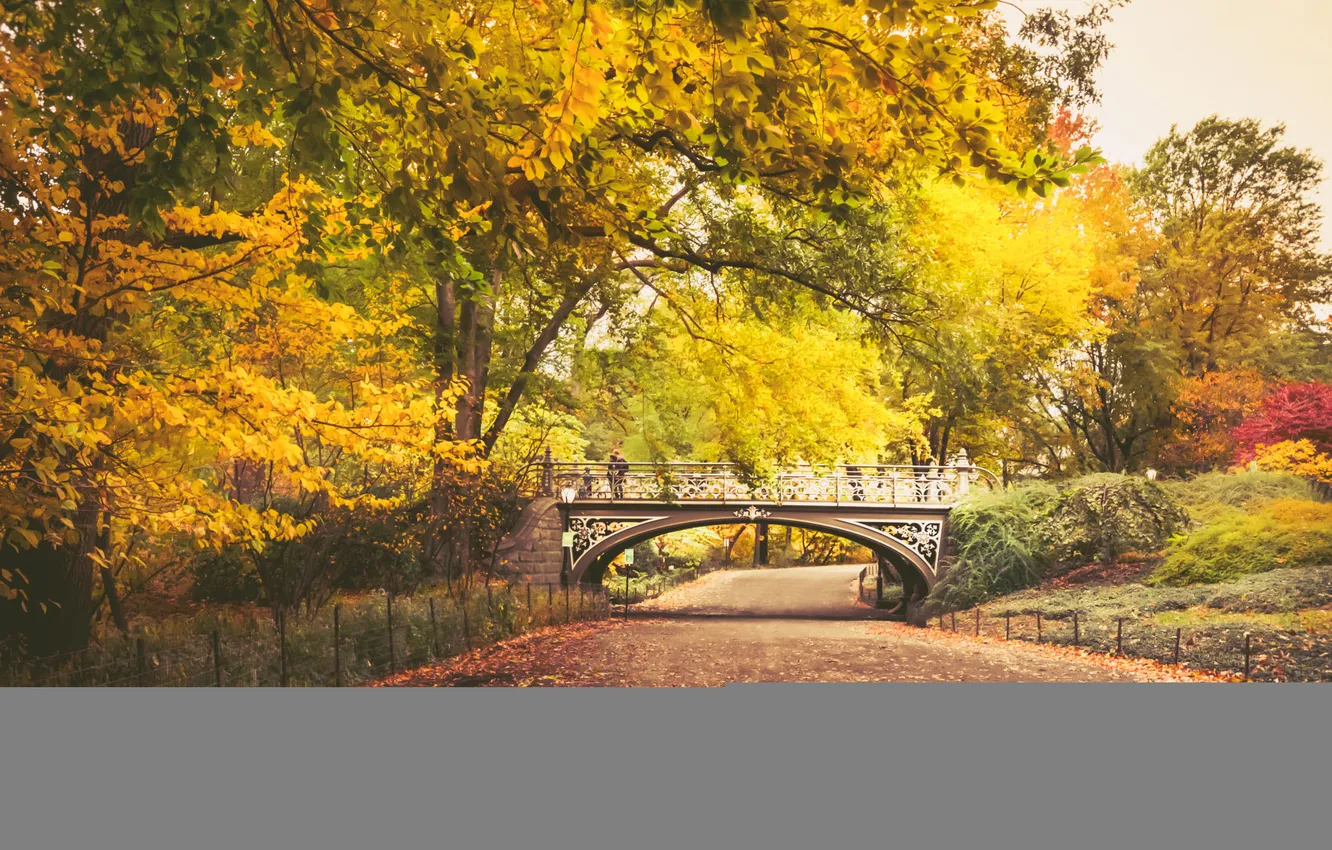 Photo wallpaper autumn, leaves, trees, bridge, Park, the way, the fence, people