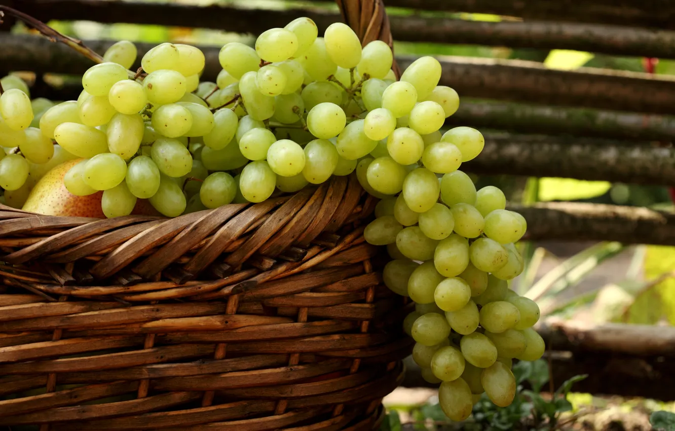 Photo wallpaper white, basket, grapes, pear, bunches