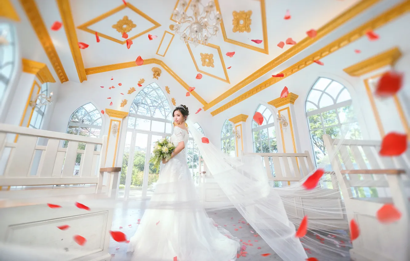 Photo wallpaper Girl, petals, Dress, The bride, Phot's
