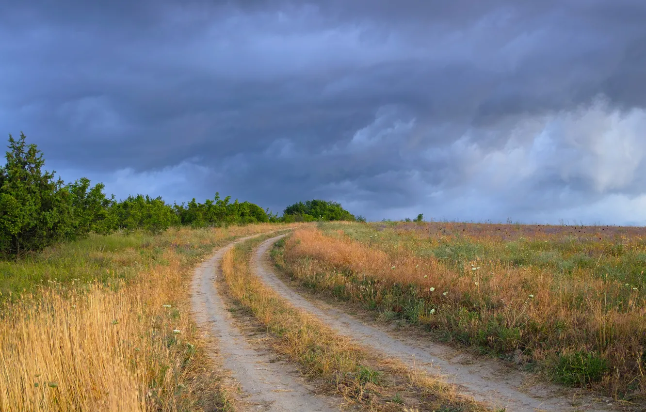 Photo wallpaper road, the sky, clouds, the bushes