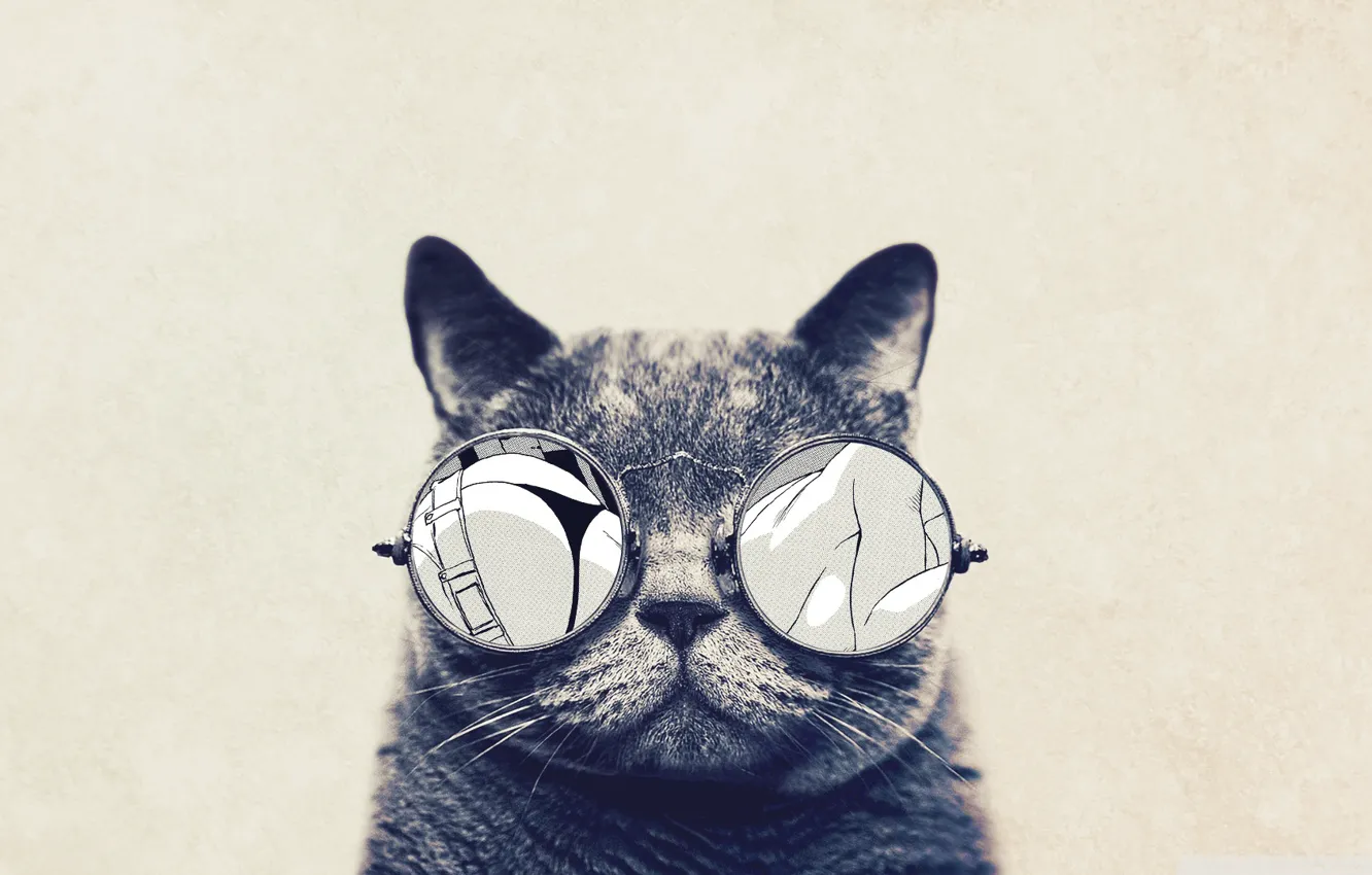 Photo wallpaper cat, animals, glasses