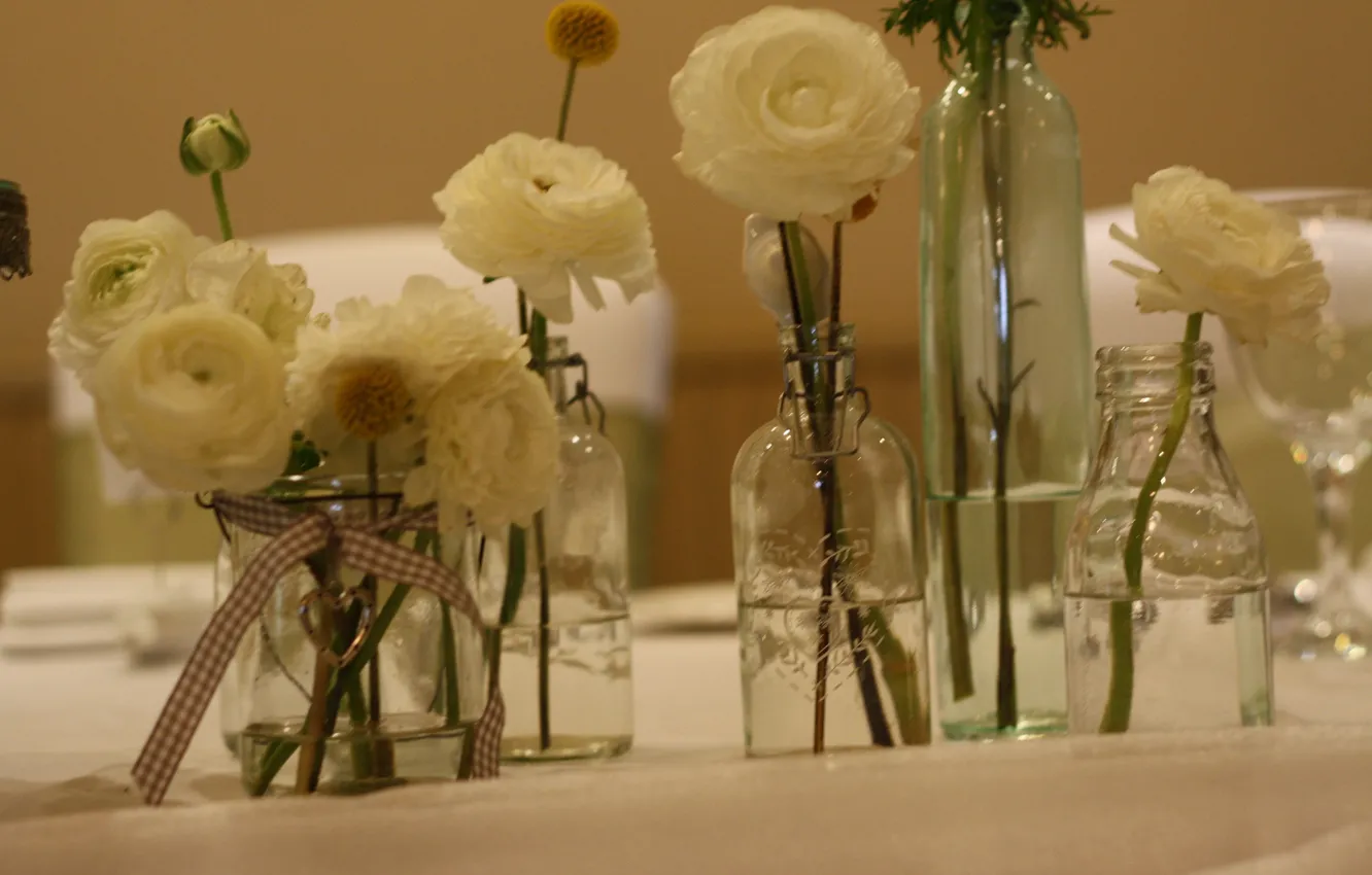 Photo wallpaper flowers, white, buds, Ranunculus, Asian Buttercup