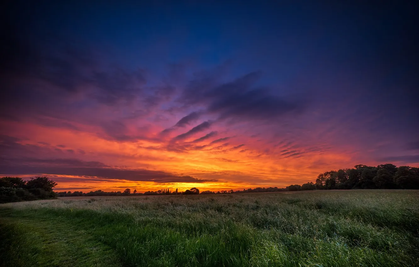 Photo wallpaper field, landscape, sunset