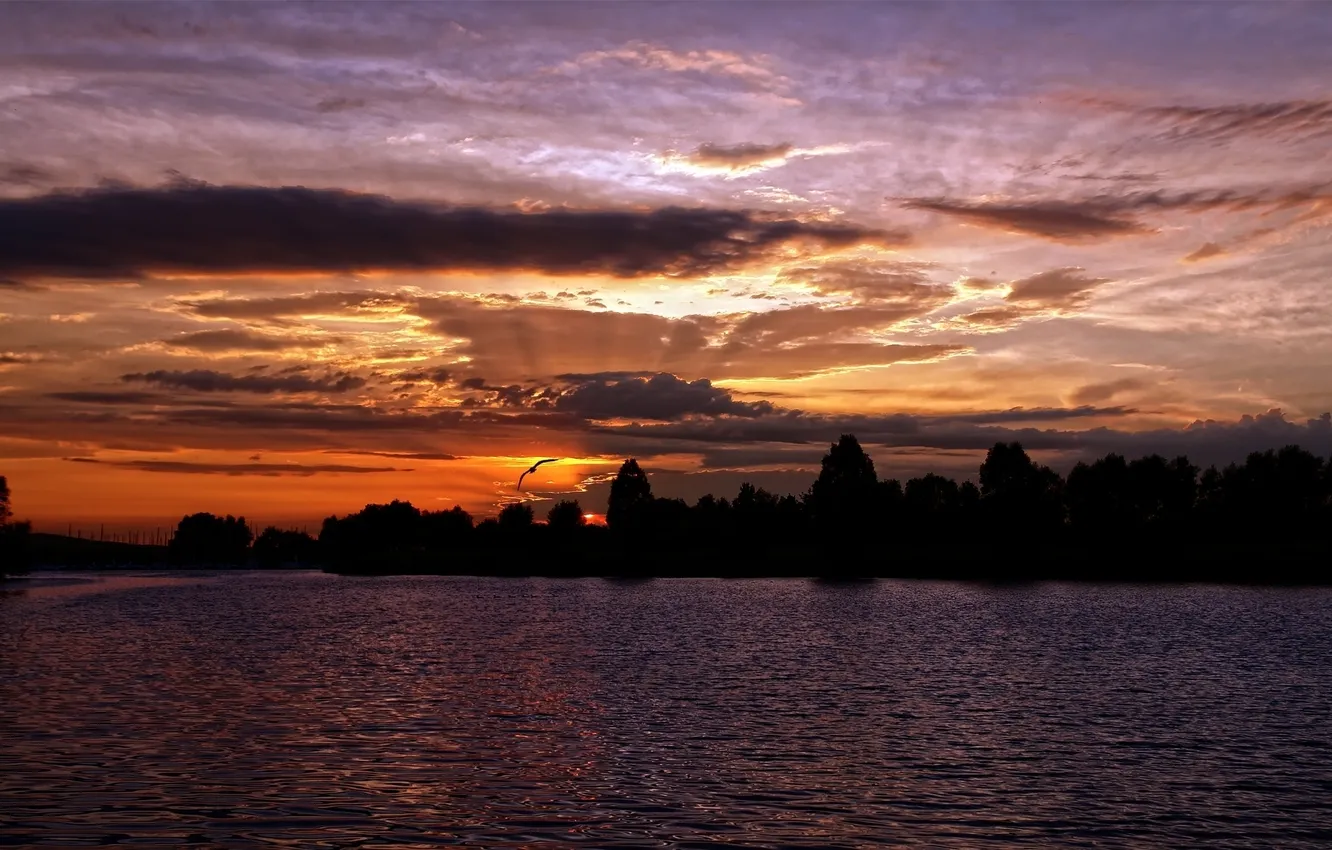 Photo wallpaper the sky, landscape, sunset, nature, river, the evening, pond