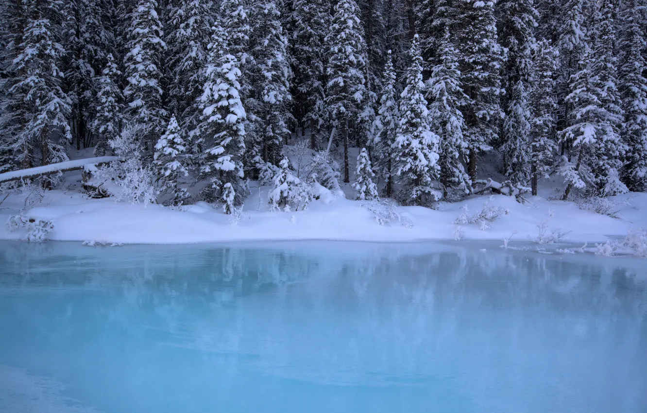 Photo wallpaper winter, forest, water, snow, trees, Canada, Albert, Banff National Park