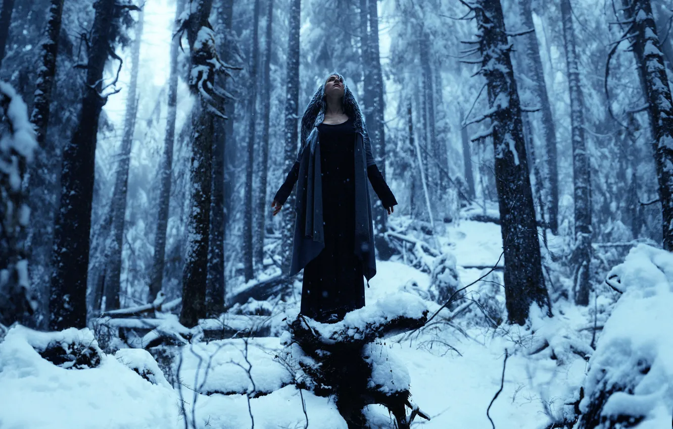 Photo wallpaper forest, girl, snow, Kindra Nikole