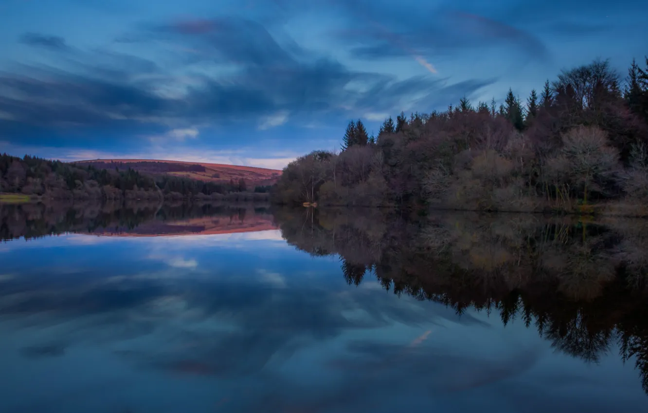Photo wallpaper forest, the sky, clouds, trees, blue, nature, reflection, England