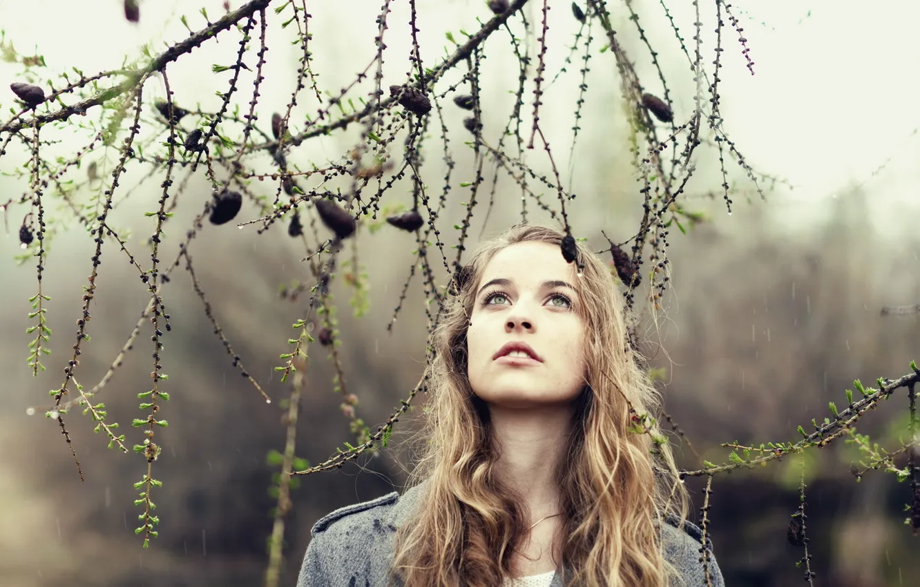 Photo wallpaper girl, rain, tree, mood