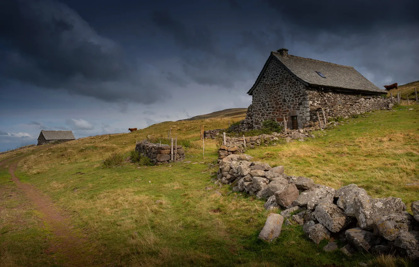 Photo wallpaper home, cows, hills, clouds, slope, road, house, field