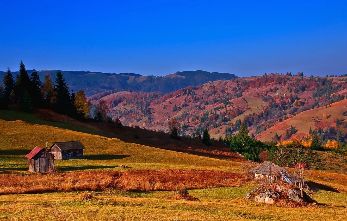 Photo wallpaper autumn, the sky, trees, mountains, home, slope, Ukraine, hut