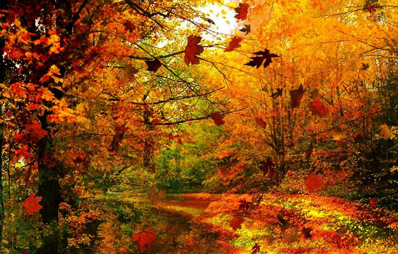 Photo wallpaper road, autumn, trees, falling leaves