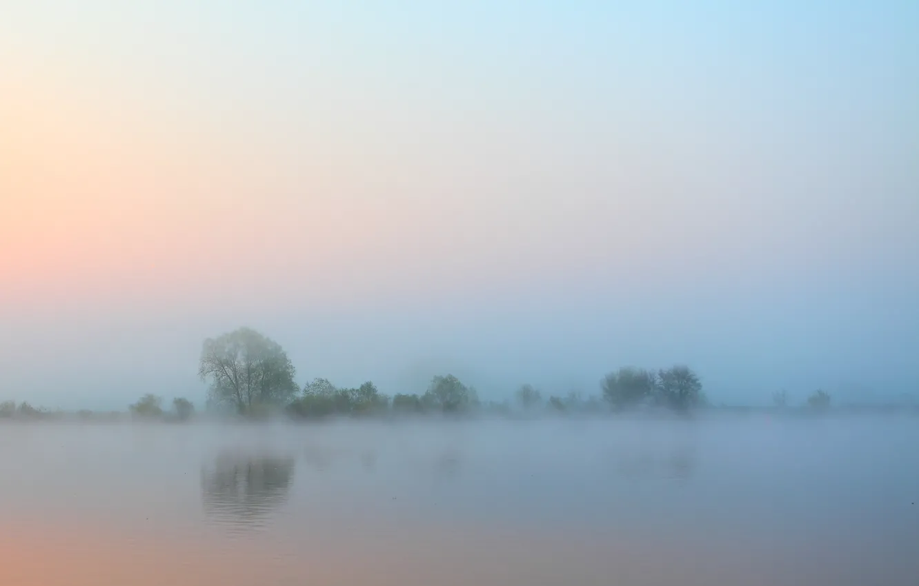 Photo wallpaper the sky, water, trees, fog, river, morning