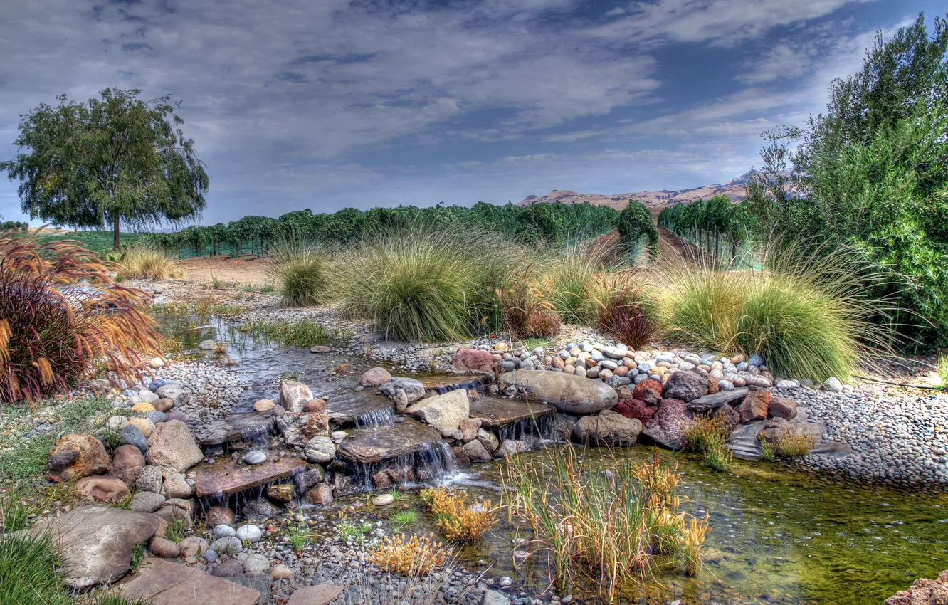 Photo wallpaper field, summer, trees, nature, stream