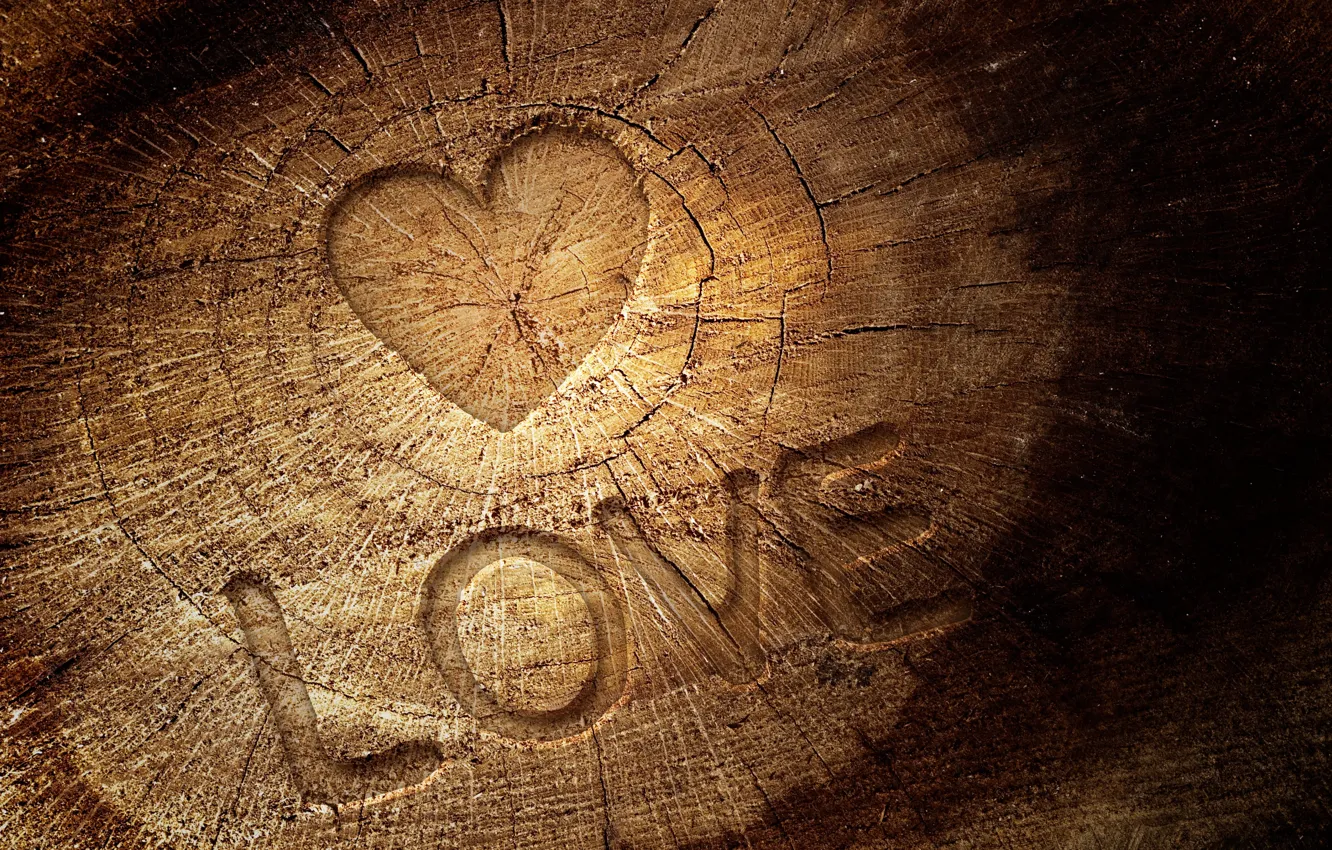 Photo wallpaper love, cracked, letters, tree, the inscription, heart, texture