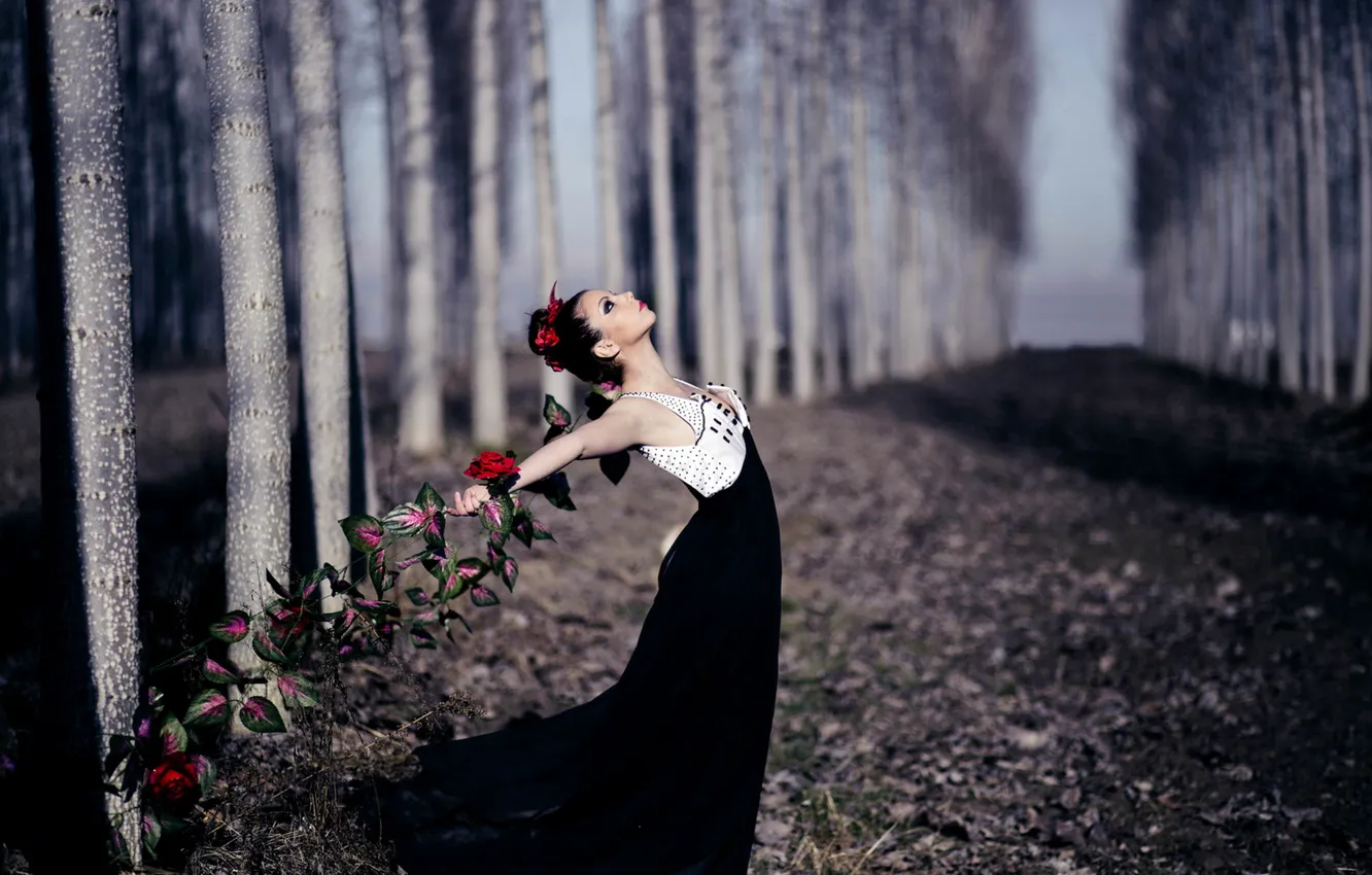 Photo wallpaper girl, flowers, pose
