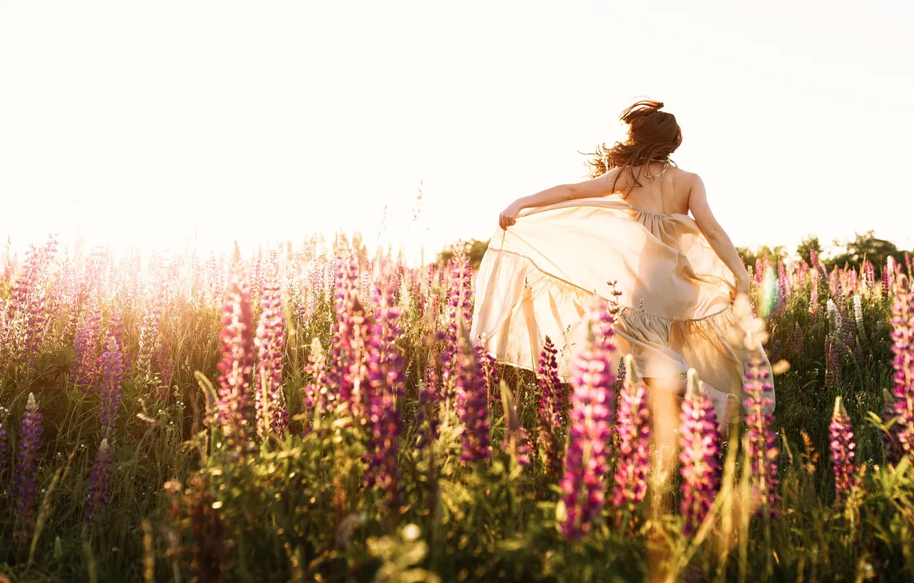 Photo wallpaper field, girl, light, flowers, is back