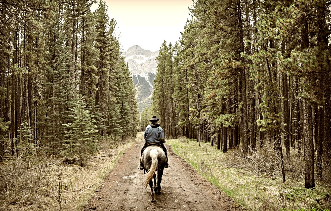 Photo wallpaper road, forest, mountains, rider