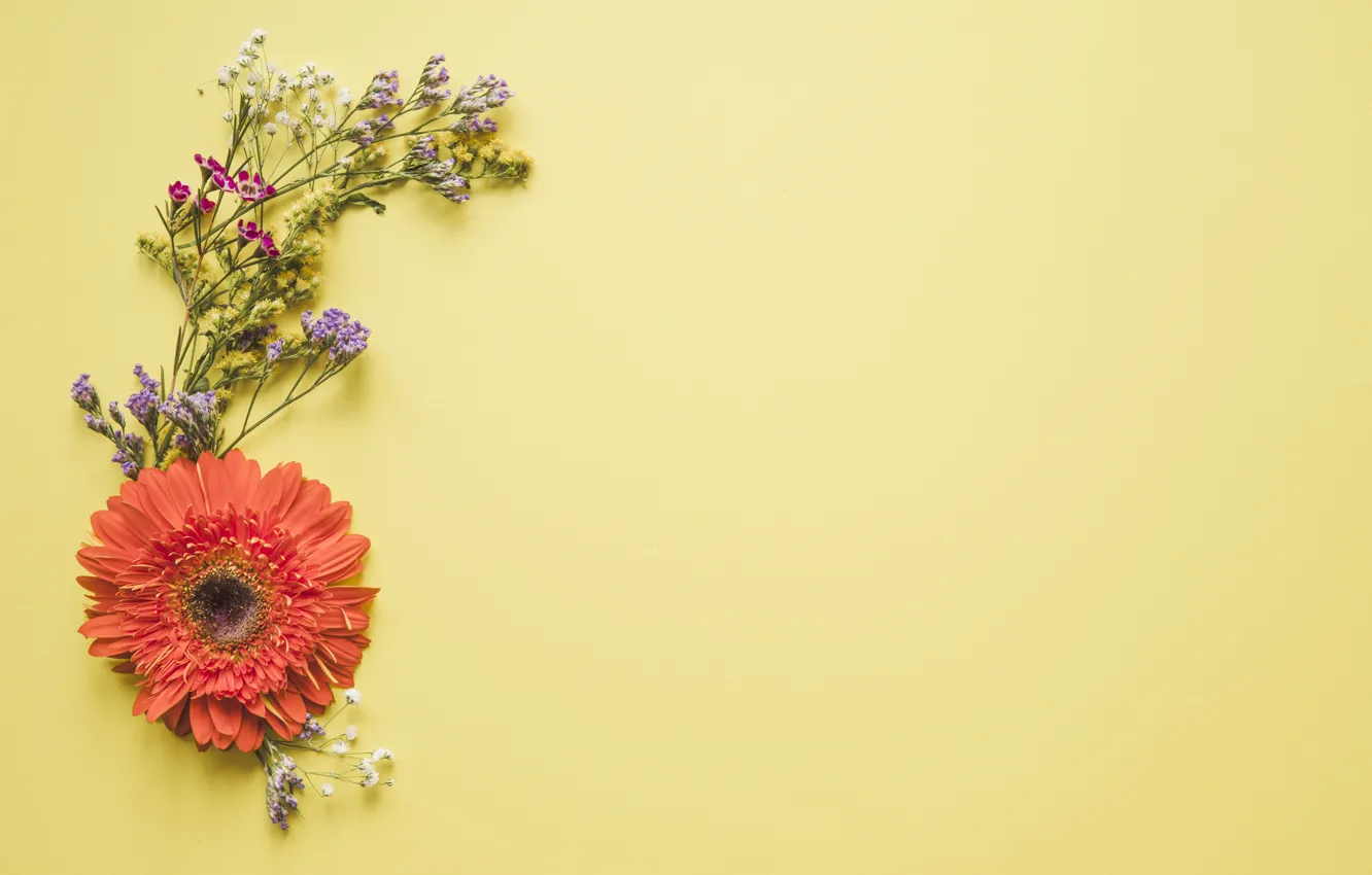 Photo wallpaper greens, flowers, background, gerbera