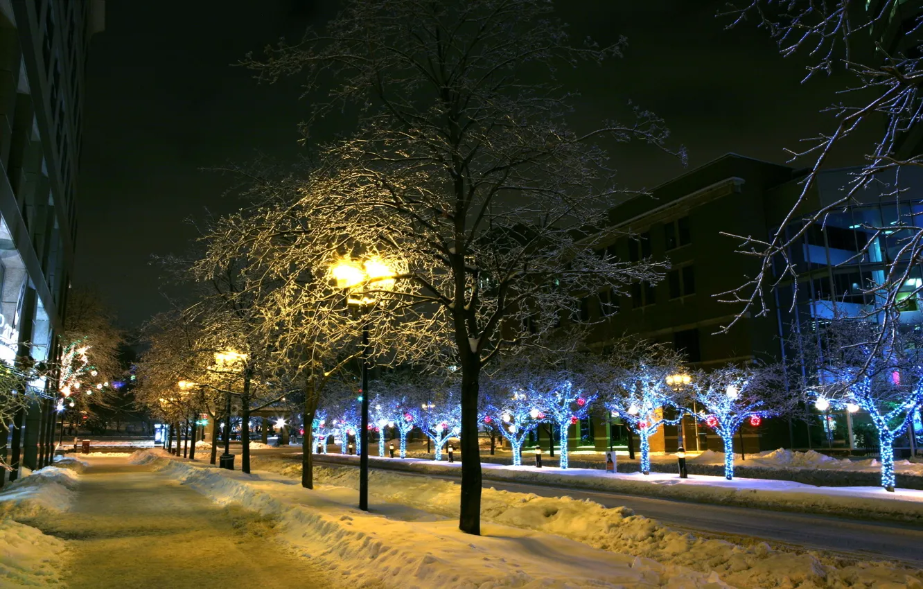 Photo wallpaper winter, snow, trees, the city, lights, lights
