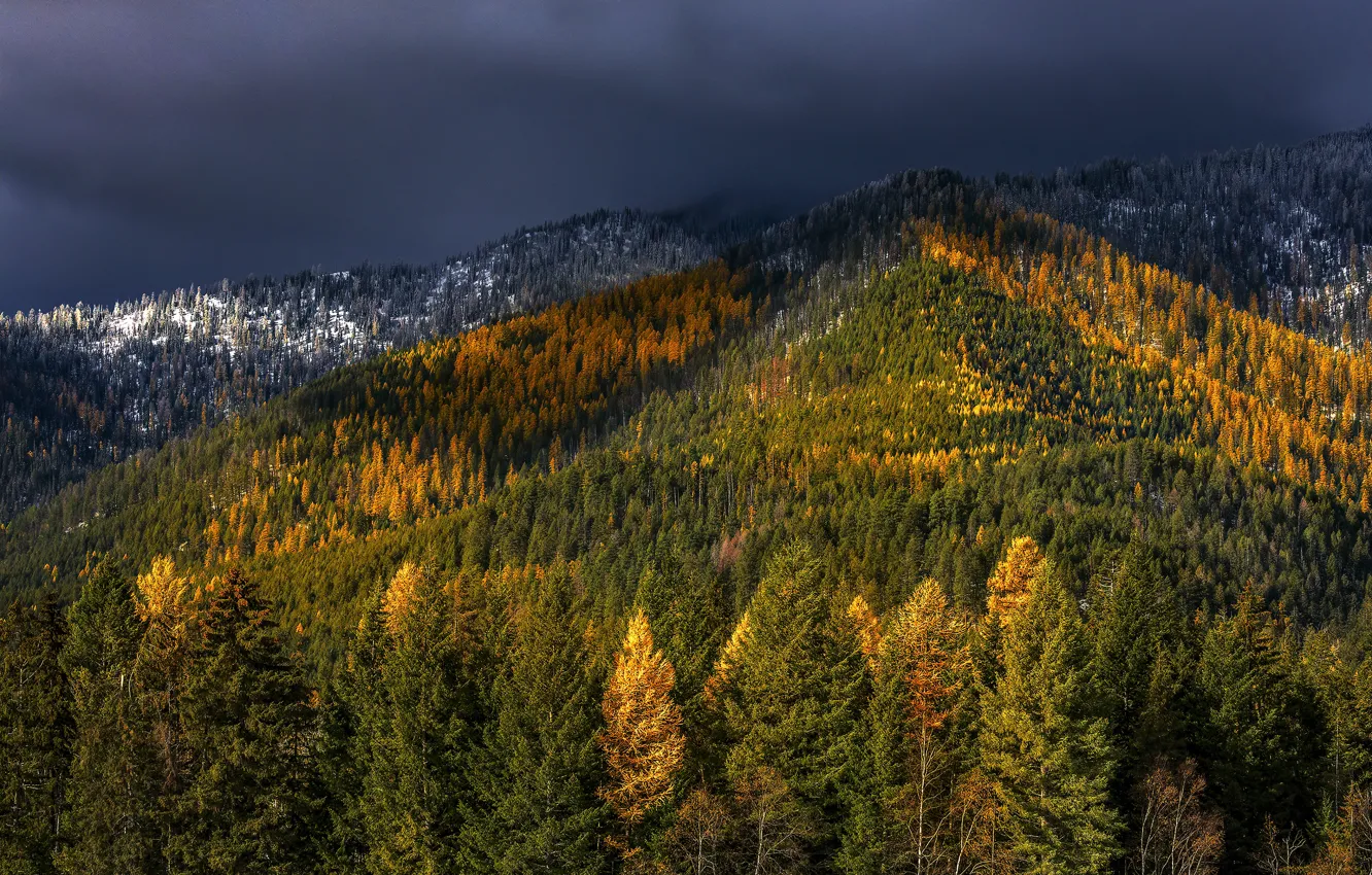 Photo wallpaper autumn, forest, the sky, snow, trees, mountains, clouds, nature