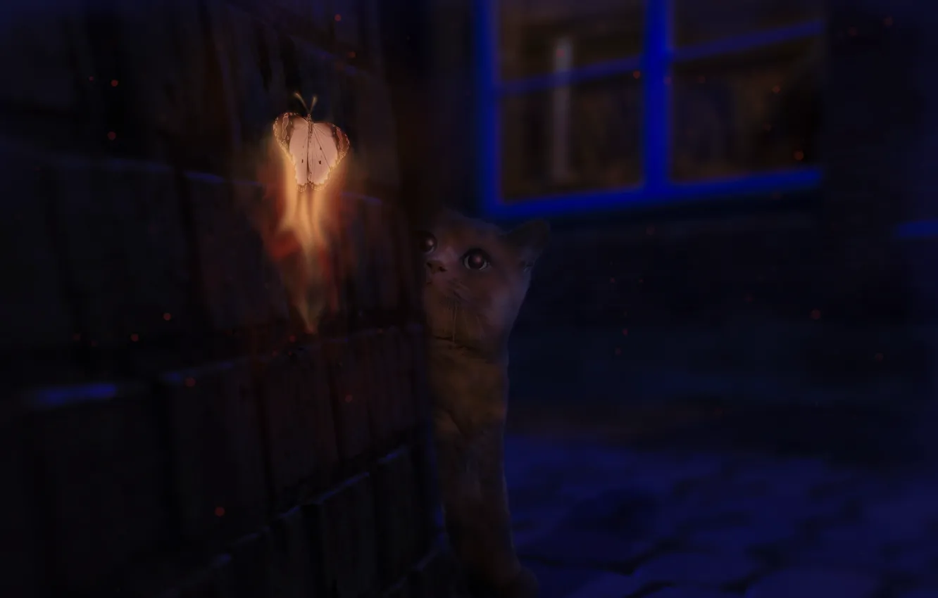 Photo wallpaper cat, magic, butterfly, fantasy