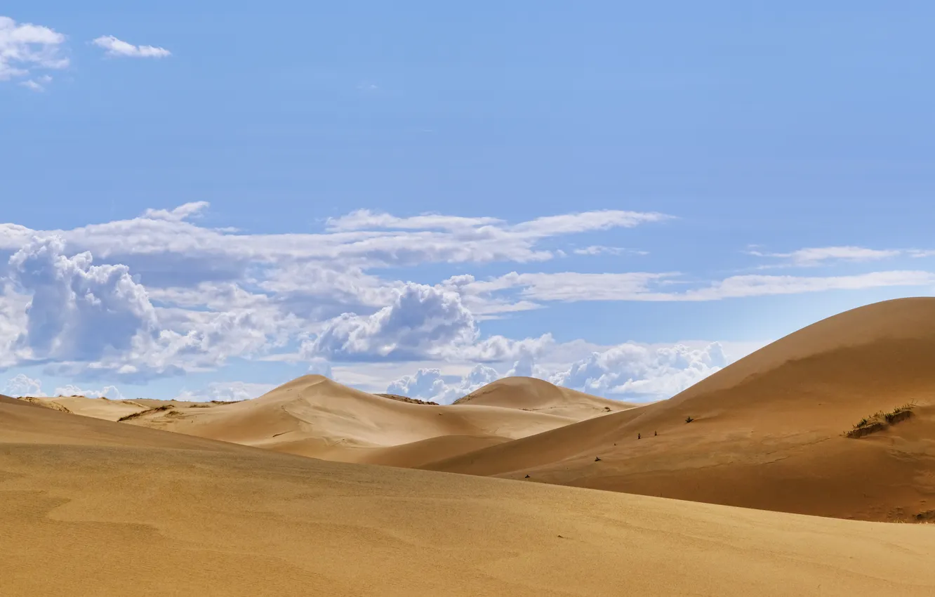 Photo wallpaper landscape, nature, Land, oasis, Mongolia, Mongolian, Landmark, mongol