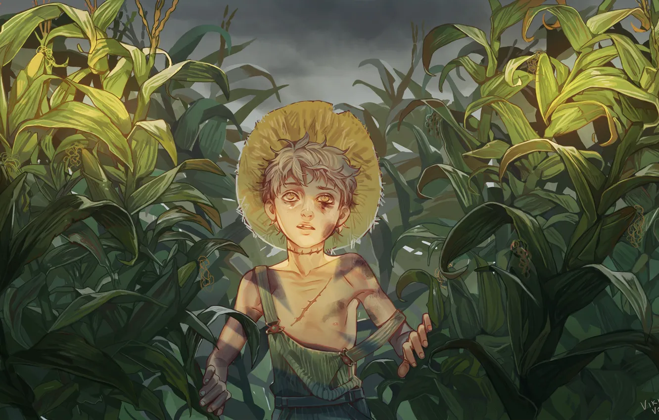 Photo wallpaper the victim, boy, tears, scar, art, violence, beating, cornfield