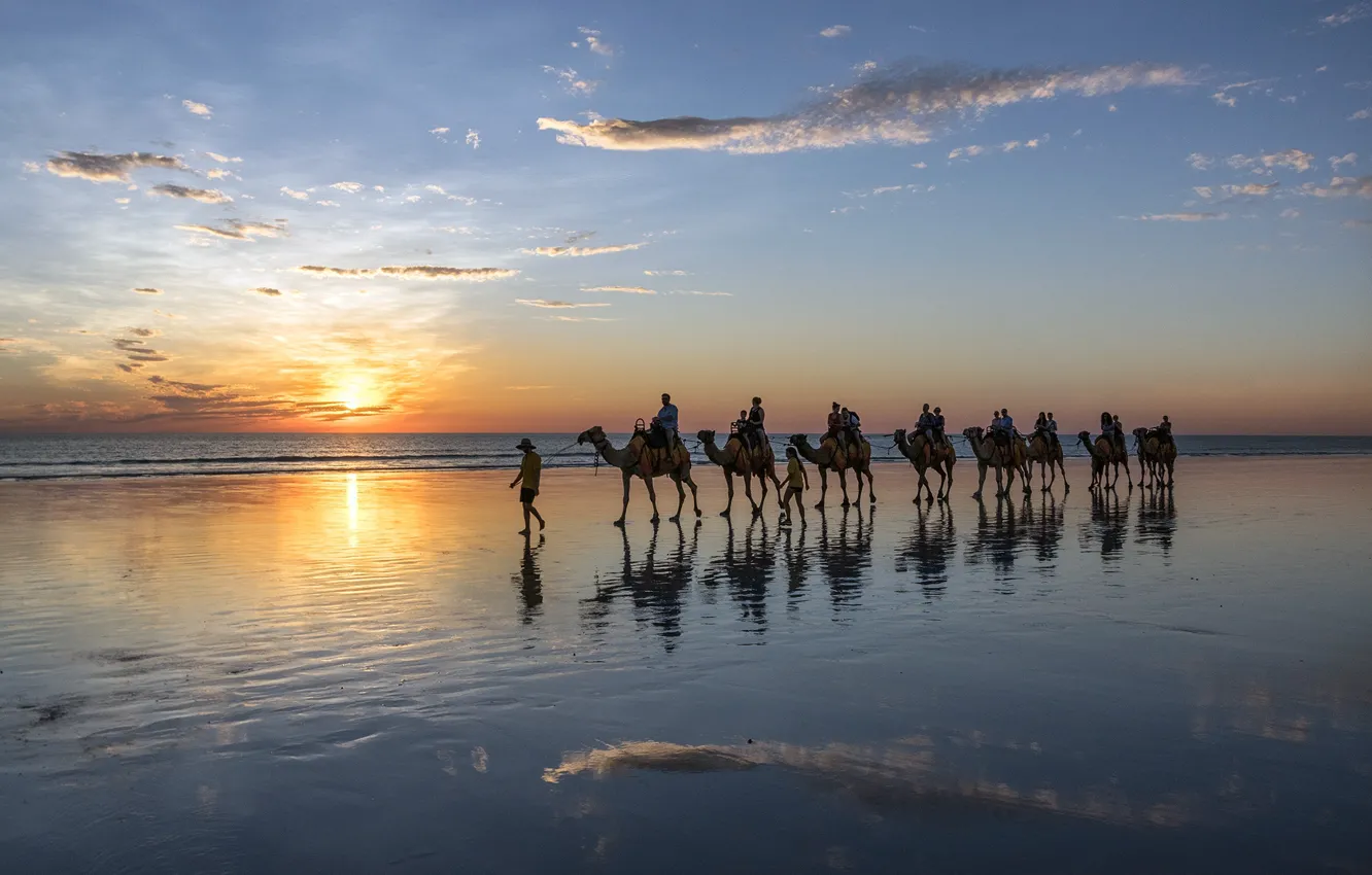 Photo wallpaper sea, shore, camels, caravan