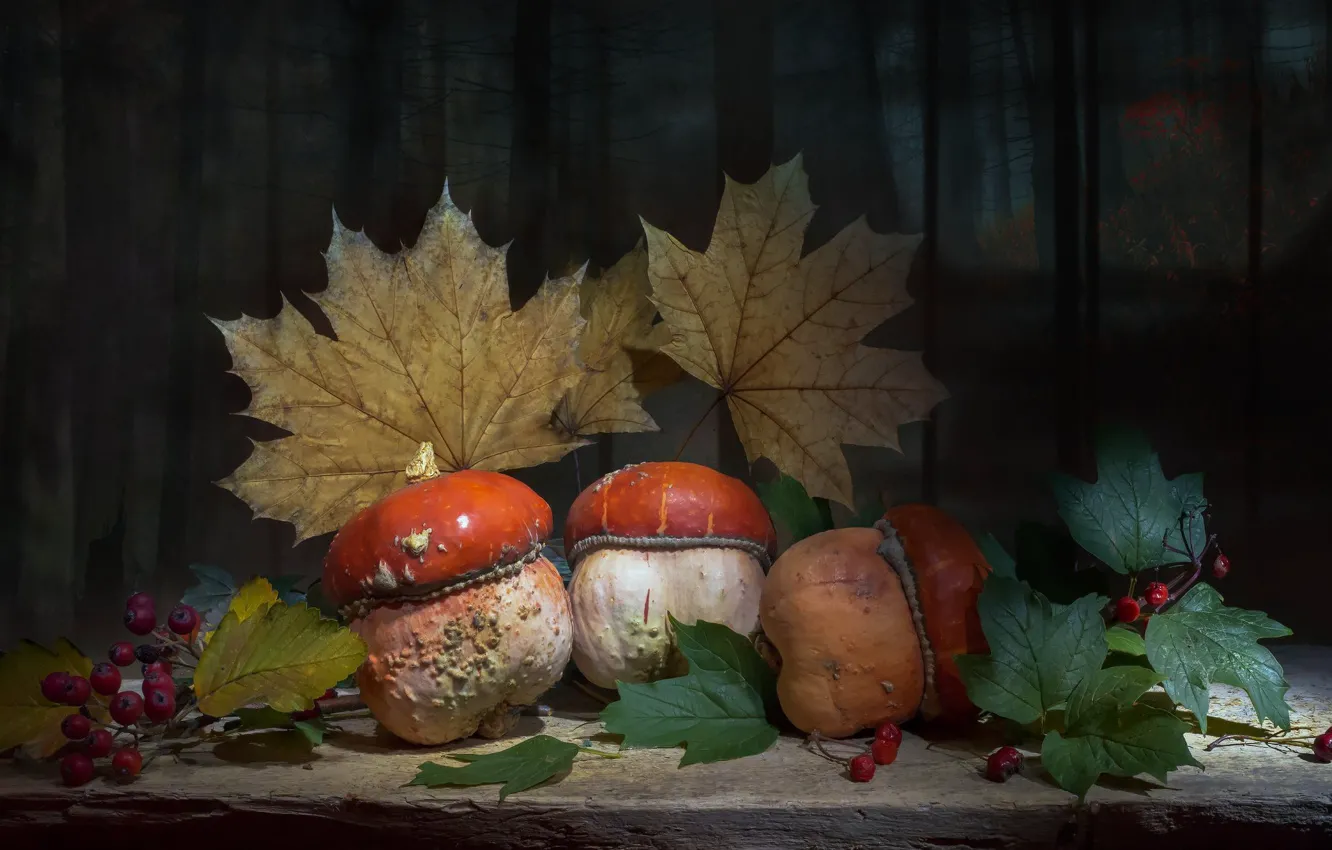 Photo wallpaper leaves, berries, the dark background, Board, pumpkin, hat, still life, maple