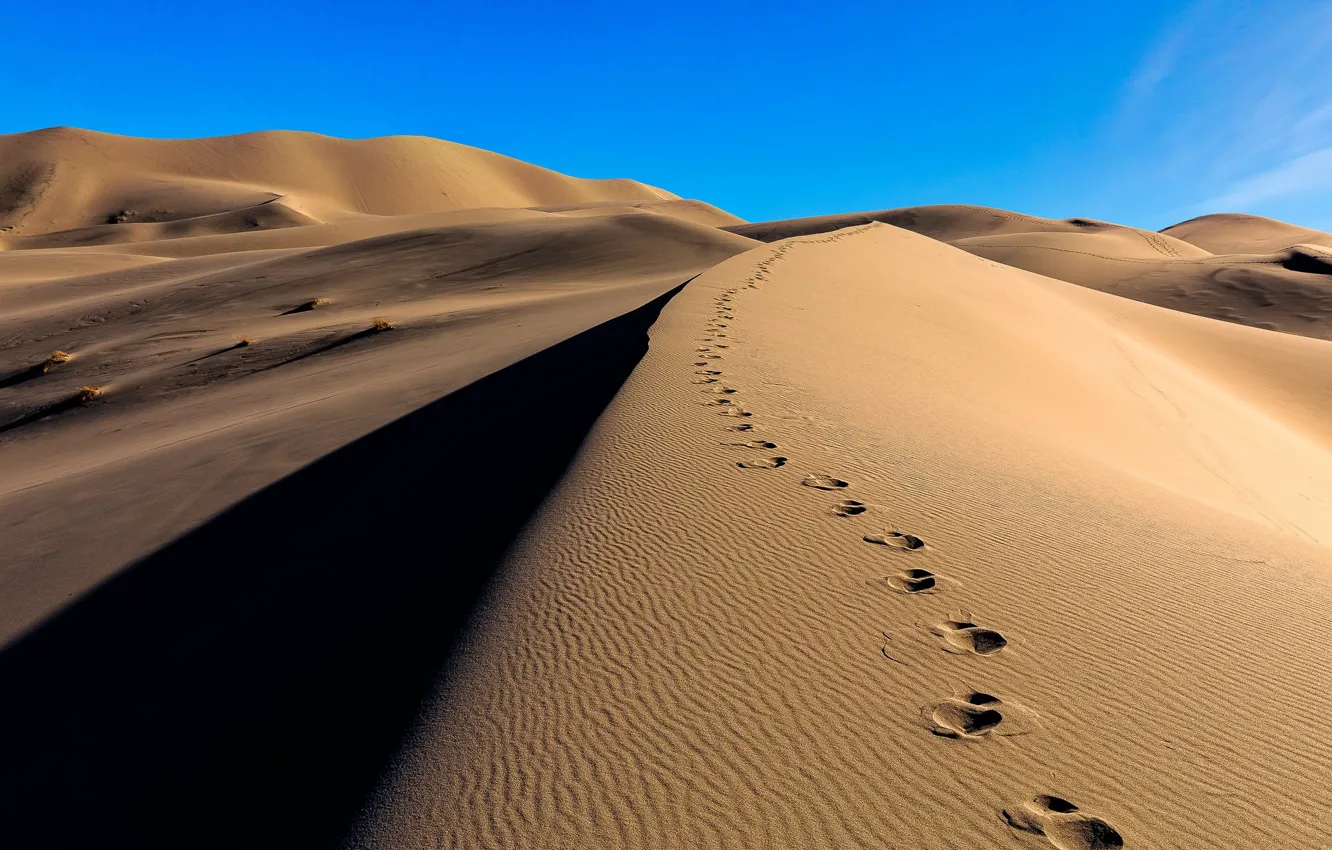 Photo wallpaper sand, traces, desert, dunes