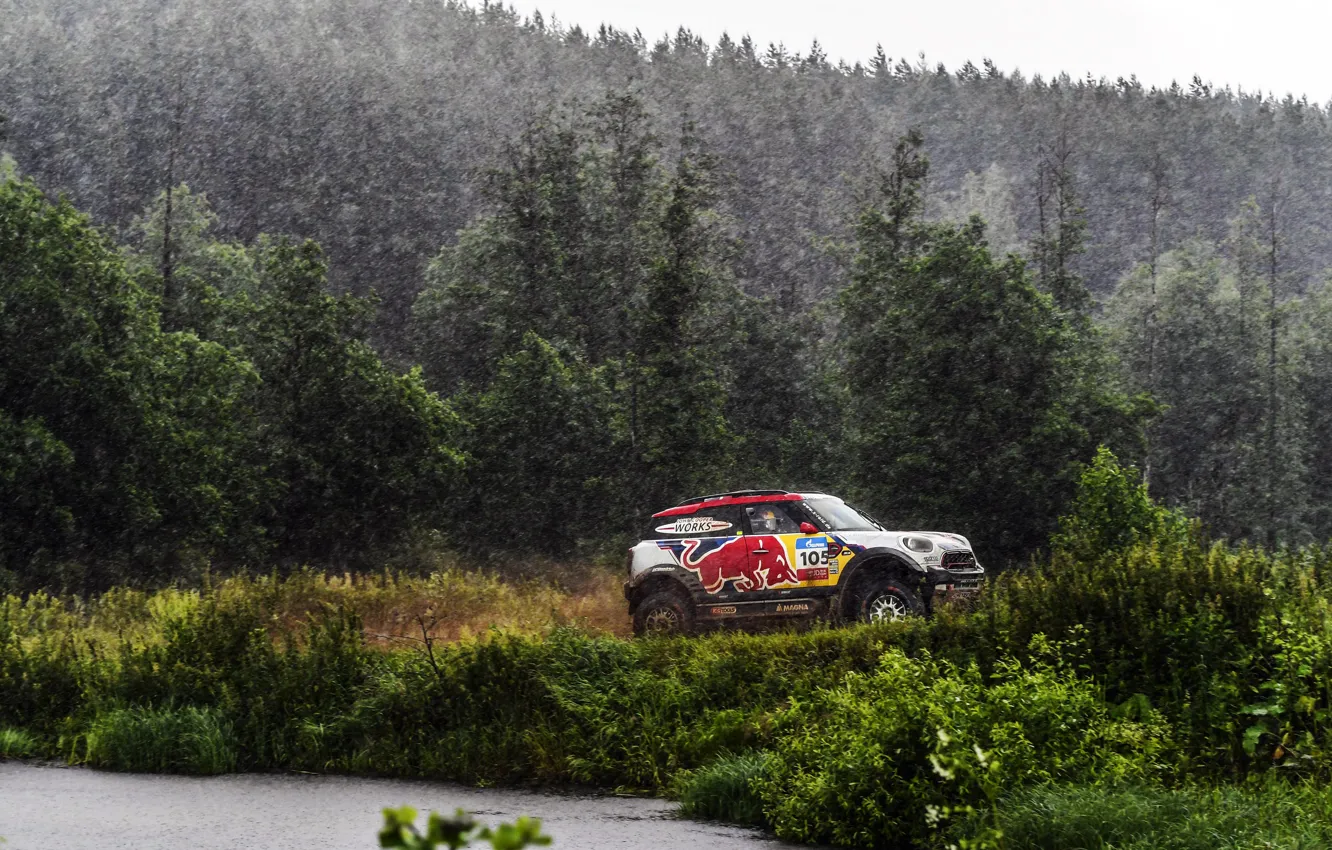 Photo wallpaper Mini, Cooper, Forest, Sport, Rain, Race, Mini Cooper, Russia