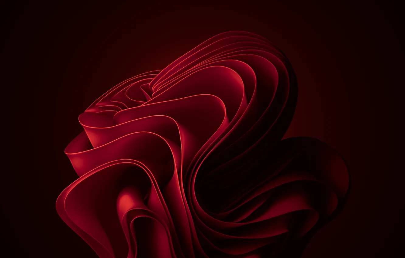 Photo wallpaper red, abstraction, abstract, red, dark red, dark red, bloom, windows 11