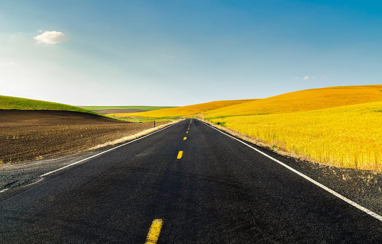 Photo wallpaper road, field, nature, hills, USA, road