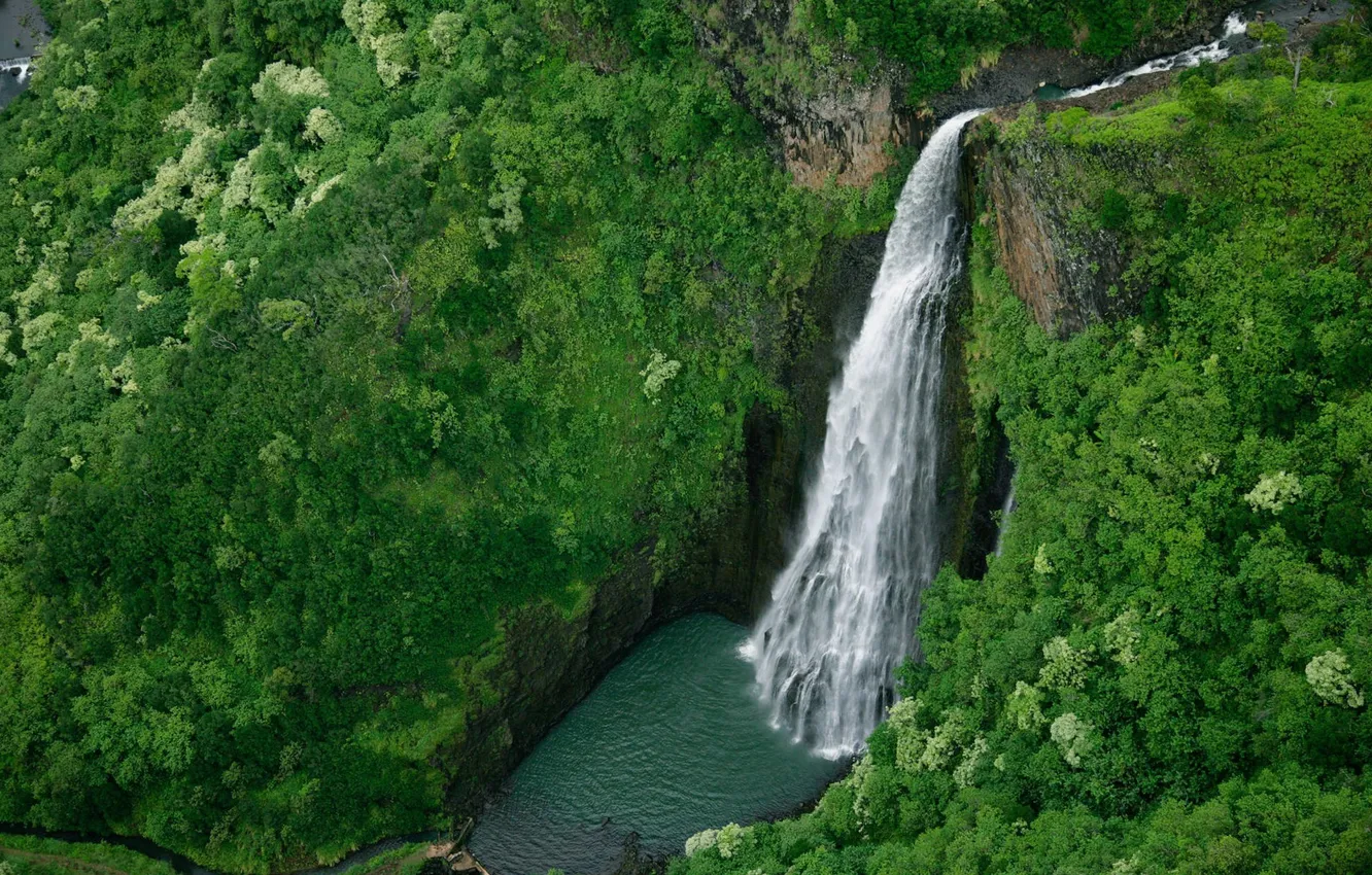 Photo wallpaper forest, river, waterfall, Hawaii, Kauai, Hanapepe valley, Manawaiopuna falls