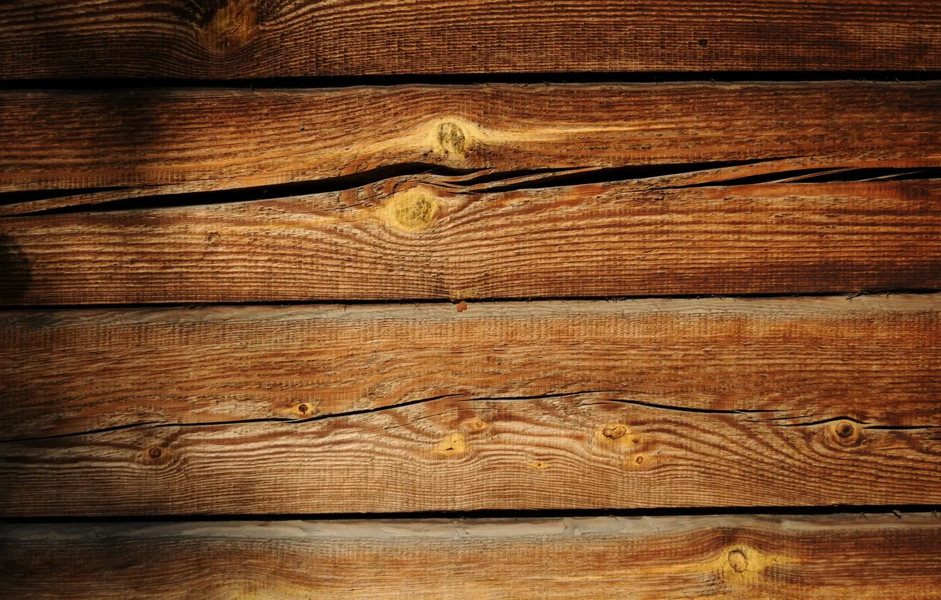 Photo wallpaper trees, Board, texture