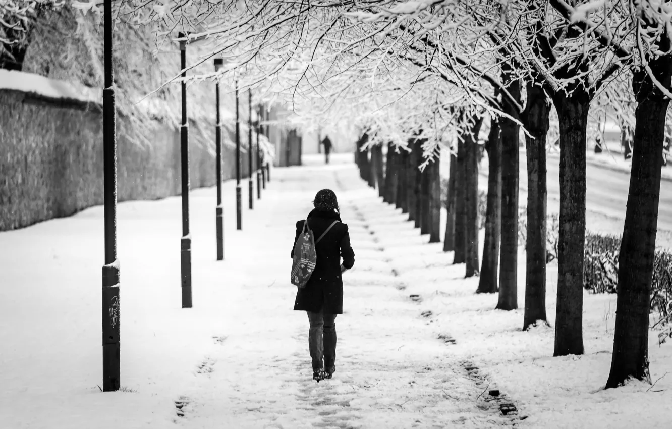 Photo wallpaper girl, snow, the city, alley