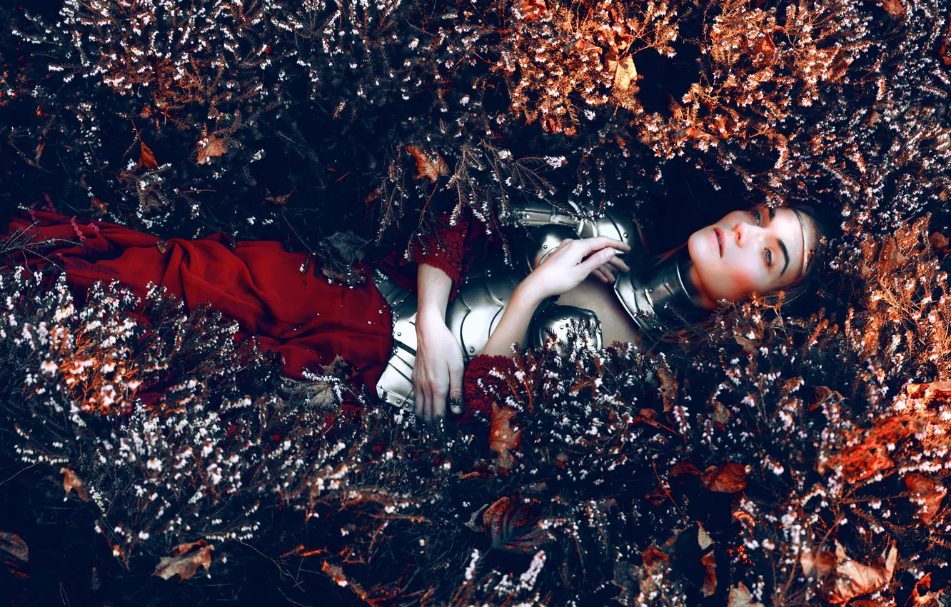 Photo wallpaper girl, armor, flowers, Kindra Nikole