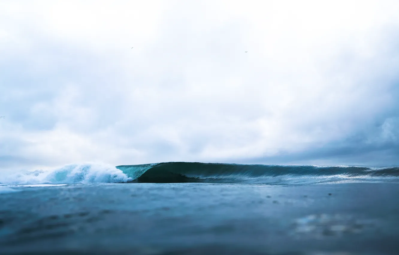 Photo wallpaper sea, wave, Hayden